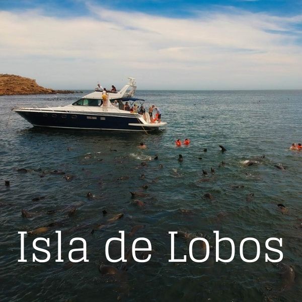 Alquiler de yates para isla de lobos